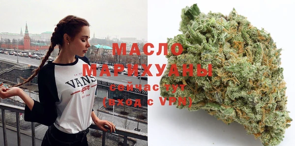 гидра Бородино